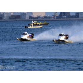 Работа в учреждении спортивной направленности: Основная деятельность