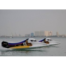 Работа в учреждении спортивной направленности: Международные соревнования